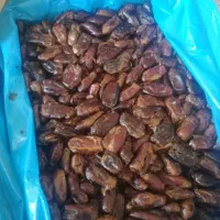 کارگر خانم در کارگاه بسته بندی خرما