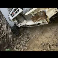 پراید|خودرو سواری و وانت|تربت جام, میان جام|دیوار