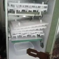 دستگاه جوجه کشی 168 تایی مرغ و بلدرچین و...|لوازم جانبی حیوانات|بیرجند, |دیوار