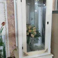 ویترین رنگ استخوانی،در حدنو