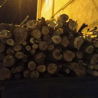 برش و خریدچوب با مناسبترین قیمت