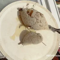 عسل محلی طبیعی کنار