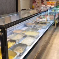 یخچال ویترینی و فریزر ایساده