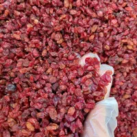 زرشک اناری عمده|خوردنی و آشامیدنی|اصفهان, نقش جهان|دیوار