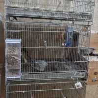 فروش قفس غلامی