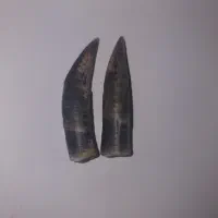 خارک یا مامیز