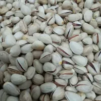 پسته