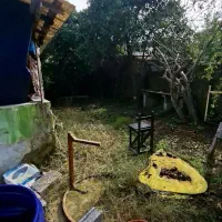 زمین با یک خونه ی کلنگی قابل بازسازی|فروش زمین و ملک کلنگی|کیاشهر, |دیوار