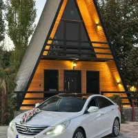 ماشین عروس سوناتا ، کروک ، فیدلیتی|خودرو اجارهای|شهریار, شهریار|دیوار