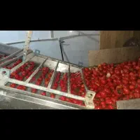 مرکز تولید و پخش رب گوجه شیره انگور خرما توت انجیر|خوردنی و آشامیدنی|تهران, توحید|دیوار