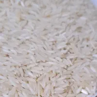 برنج طارم  فجر گیلان حراج واقعی|خوردنی و آشامیدنی|ایوان, |دیوار