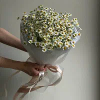 دسته‌گل|گل و گیاه طبیعی|اصفهان, جلفا|دیوار