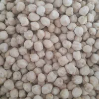 لوبیا چیتی وقرمز     نخود