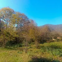 546متری کوهستانی سیاهمزگی شفت|فروش زمین و ملک کلنگی|احمدسرگوراب, |دیوار