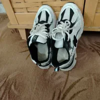 کفش مجلسی|کیف، کفش، کمربند|بوشهر, |دیوار