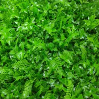 چمنِ دیواری دیوارسبز|خدمات باغبانی و درختکاری|تبریز, |دیوار