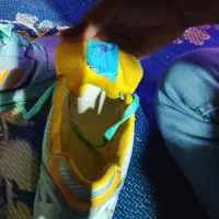 فروش  ویژه  ۱ جفت کفش کتانی  برند آدیداس اصل|کیف، کفش، کمربند|جهرم, |دیوار