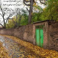 تورگشتجزیره‌ی‌قشم