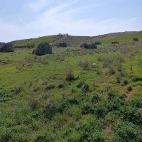 فروش بلوک زیر قیمت