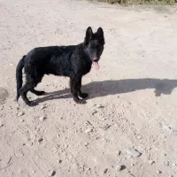 سلام دوستان تو عکسها همه چیز مشخصه