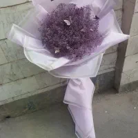 گل ژیسوفیلا