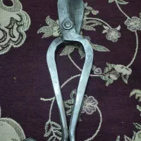 قیچی حلب بر|ابزارآلات|گنبد کاووس, |دیوار