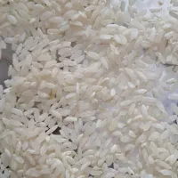 برنـج چمپا محلی