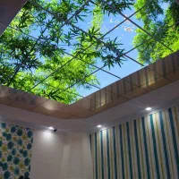 کناف،آسمان مجازی،آرمسترانگ|مصالح و تجهیزات ساختمان|لاهیجان, رجایی|دیوار