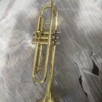 ترمپت برنجی در حد نو|سازهای بادی|کرمان, |دیوار