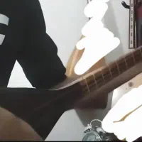 تنبور ثنایی