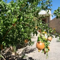 باغ ویلا ۲۶۲ متری|فروش خانه و ویلا|کوهپایه, |دیوار