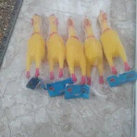 اسباب بازی مرغ