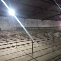 تالار زرشک آماده جهت اجاره .قاین ،فیروزاباد