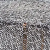 قفس|لوازم جانبی حیوانات|ایذه, |دیوار