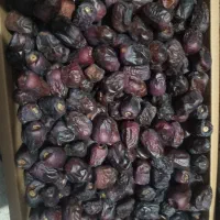 خرما|عمده‌فروشی|سراوان, |دیوار