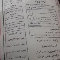 کودشیمیای سفید