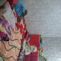 خانه برای فروش|فروش آپارتمان|بندر ماهشهر, |دیوار