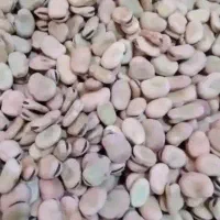 باقله
