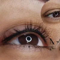 به مناسبت شب یلداتخفیف میکروبلیدینگ وفیبروزابرو|خدمات آرایشگری و زیبایی|زنجان, |دیوار