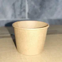 لیوان قهوه پارس کرافت تک دوبل 360|کافیشاپ و رستوران|قروه, |دیوار