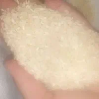 فروش برنج