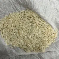 برنج علی کاظمی درجه یک مستقیم ازکشاورزمزارع گیلان|خوردنی و آشامیدنی|تهران, ونک|دیوار