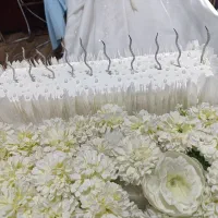 دیجی مراسم بانوان|خدمات پذیرایی، مراسم|تربتحیدریه, قائم|دیوار