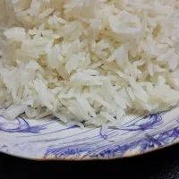 فجر سوزنی ممتاز گیلان و سرلاشه طارم گیلان|خوردنی و آشامیدنی|تهران, قصر فیروزه ۱|دیوار