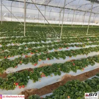 گلخانه سازی|خدمات پیشه و مهارت|تهران, شهرک صادقیه|دیوار