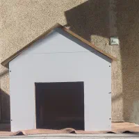 لانه سگ وگربه