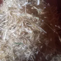 کاه درجه یک نیاز به تعریف نداره|عمدهفروشی|آبدانان, |دیوار