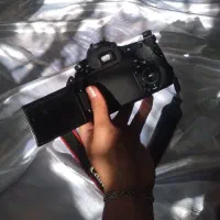 دوربین عکاسی Canon 60D|دوربین عکاسی و فیلم‌برداری|شهرکرد, |دیوار