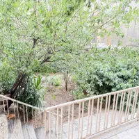 واحد ۱۵۵متری استثایی ۲۵۰متر حیاط اختصاصی مشجر|اجارهٔ آپارتمان|تهران, قیطریه|دیوار