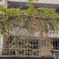 فاطمی خیابان پروین اعتصامی